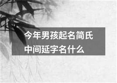 今年男孩起名简氏中间延字名什么