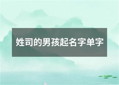 姓司的男孩起名字单字