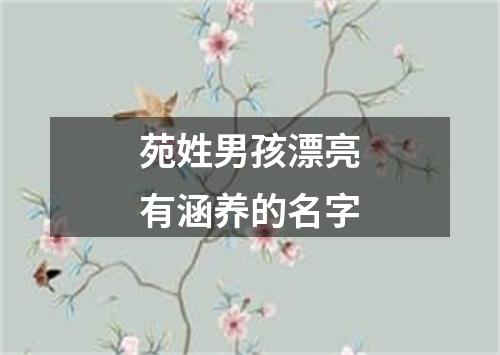 苑姓男孩漂亮有涵养的名字