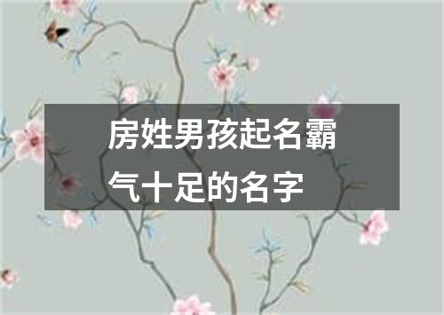 房姓男孩起名霸气十足的名字