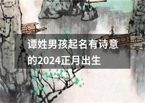 谭姓男孩起名有诗意的2024正月出生