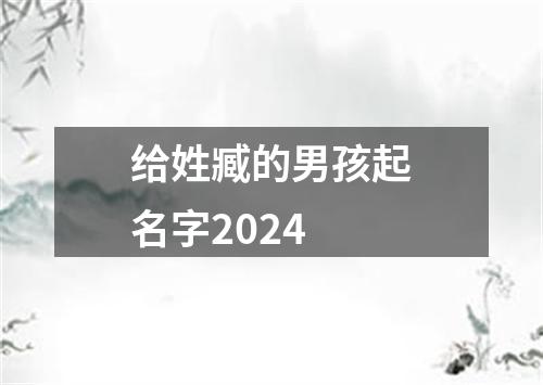 给姓臧的男孩起名字2024