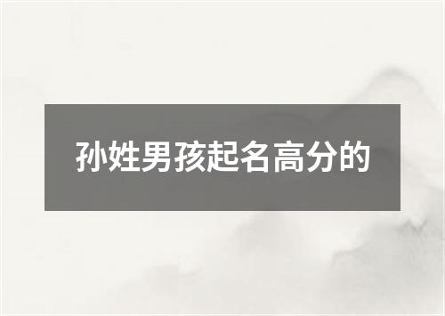 孙姓男孩起名高分的