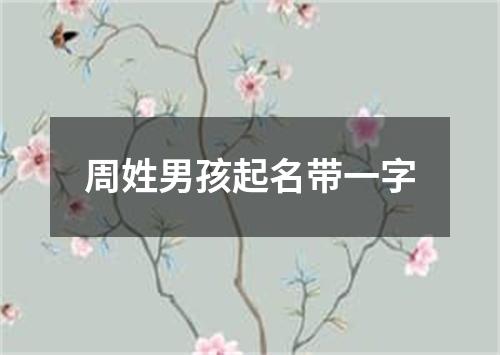 周姓男孩起名带一字