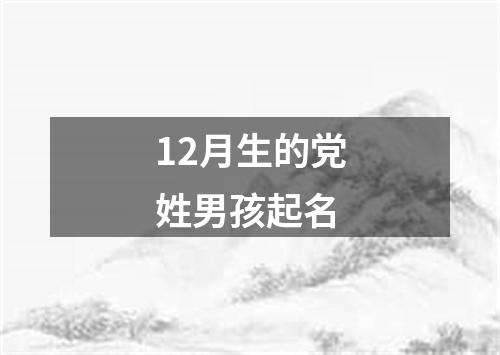 12月生的党姓男孩起名