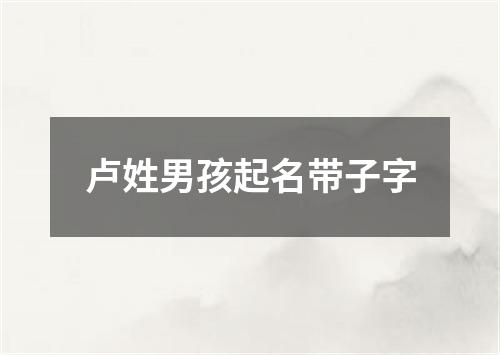 卢姓男孩起名带子字