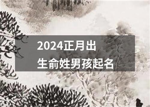 2024正月出生俞姓男孩起名