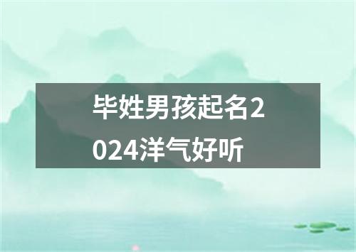 毕姓男孩起名2024洋气好听