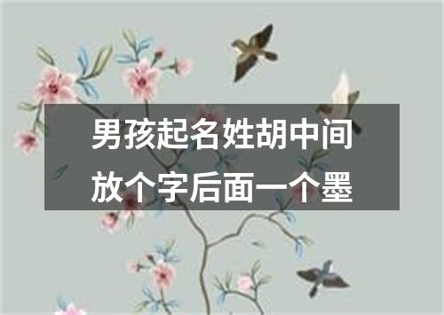 男孩起名姓胡中间放个字后面一个墨