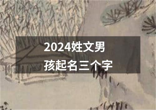 2024姓文男孩起名三个字