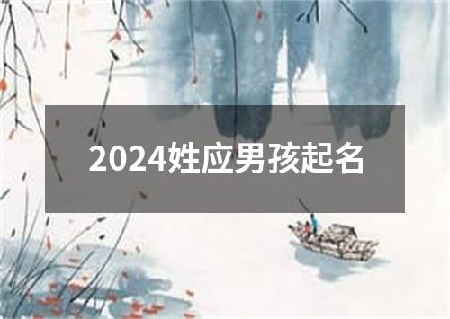 2024姓应男孩起名