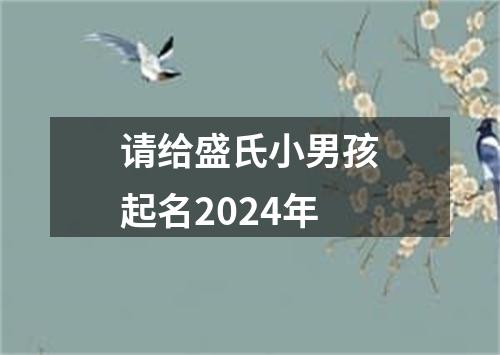 请给盛氏小男孩起名2024年