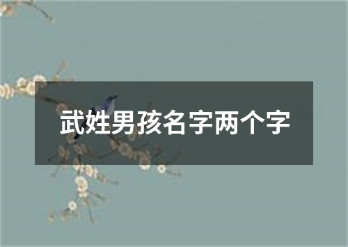 武姓男孩名字两个字