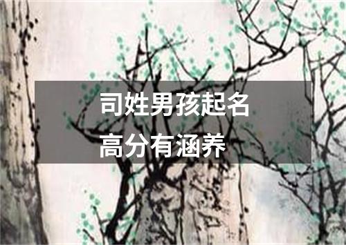 司姓男孩起名高分有涵养