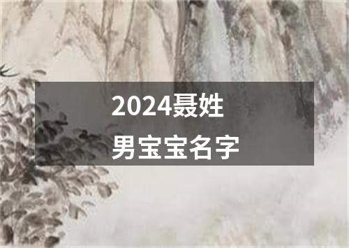 2024聂姓男宝宝名字