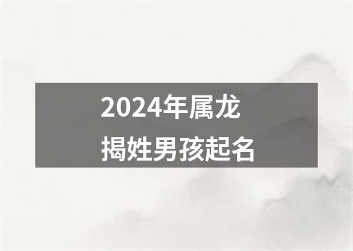 2024年属龙揭姓男孩起名