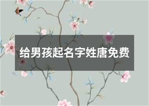 给男孩起名字姓唐免费