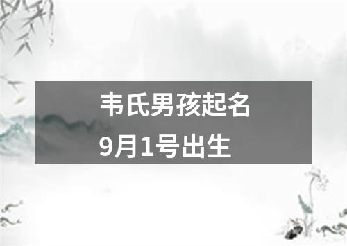 韦氏男孩起名9月1号出生