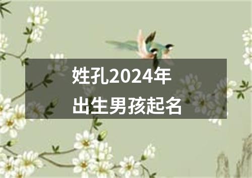 姓孔2024年出生男孩起名