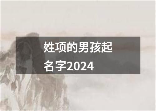 姓项的男孩起名字2024