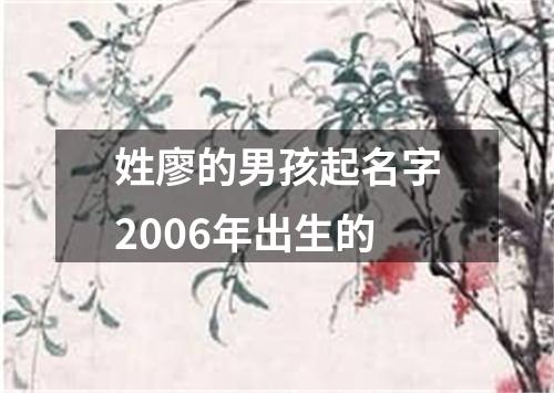 姓廖的男孩起名字2006年出生的