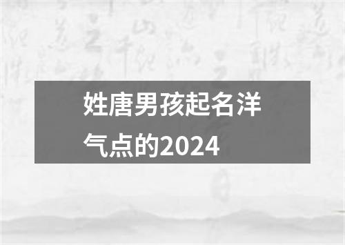 姓唐男孩起名洋气点的2024