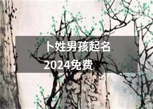 卜姓男孩起名2024免费