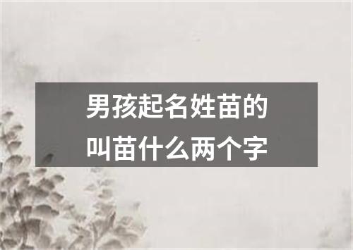 男孩起名姓苗的叫苗什么两个字