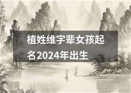 植姓维字辈女孩起名2024年出生