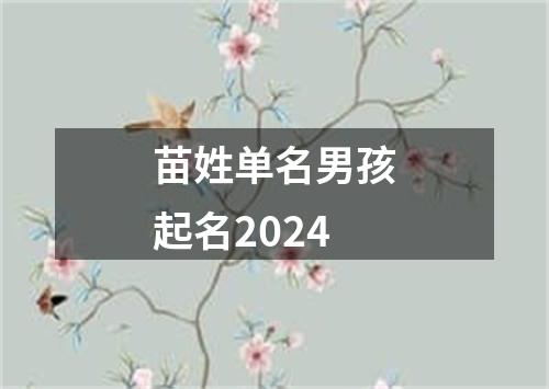 苗姓单名男孩起名2024