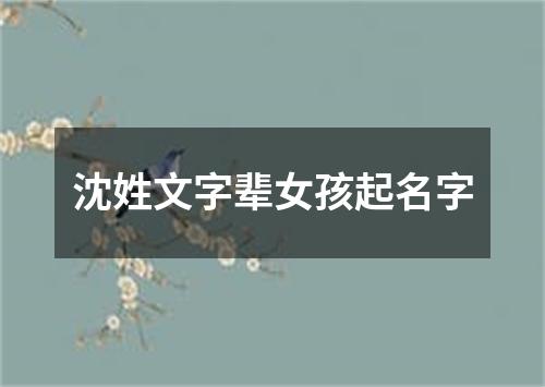 沈姓文字辈女孩起名字