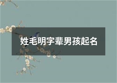 姓毛明字辈男孩起名