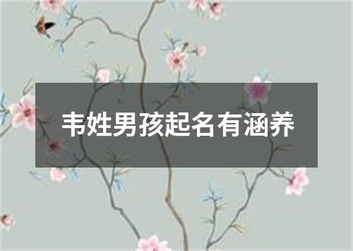 韦姓男孩起名有涵养