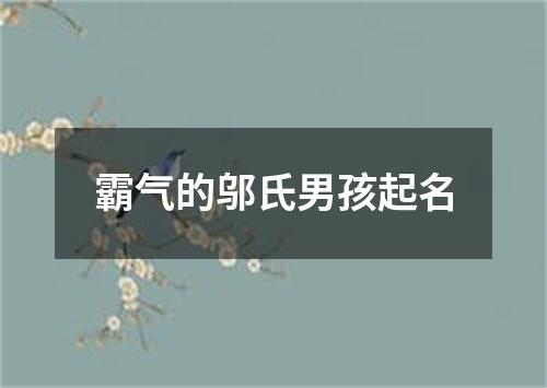 霸气的邬氏男孩起名