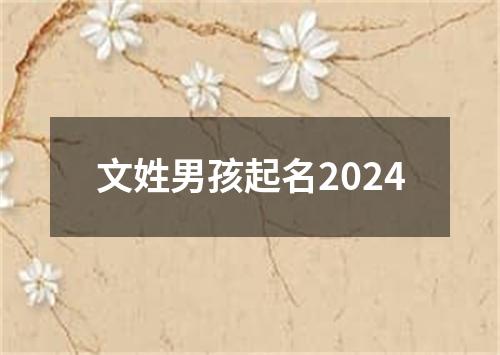 文姓男孩起名2024