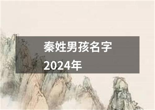 秦姓男孩名字2024年