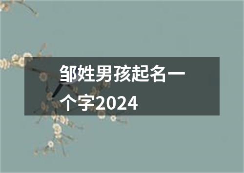 邹姓男孩起名一个字2024