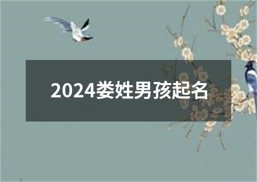 2024娄姓男孩起名