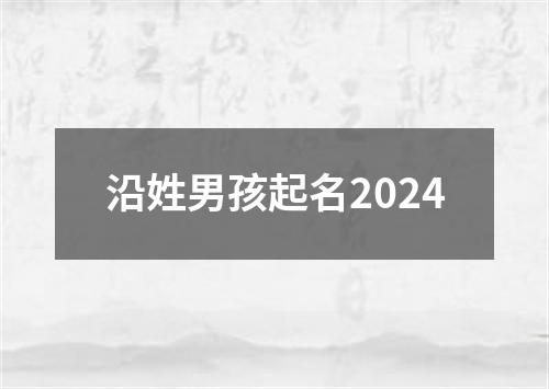 沿姓男孩起名2024