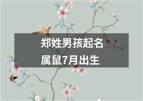 郑姓男孩起名属鼠7月出生