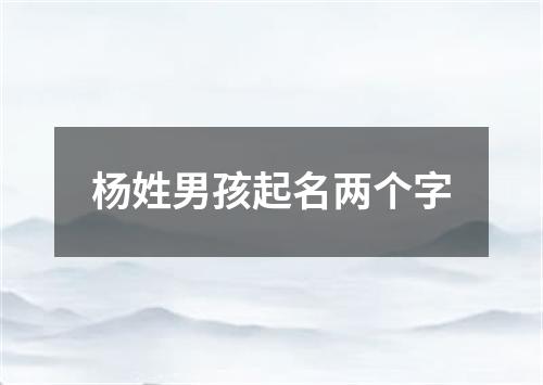 杨姓男孩起名两个字