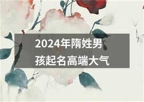 2024年隋姓男孩起名高端大气