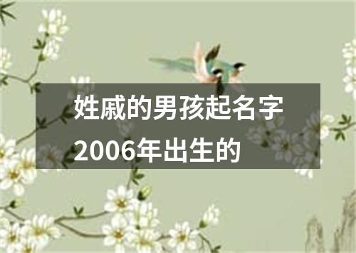 姓戚的男孩起名字2006年出生的