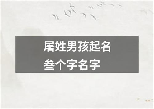 屠姓男孩起名叁个字名字