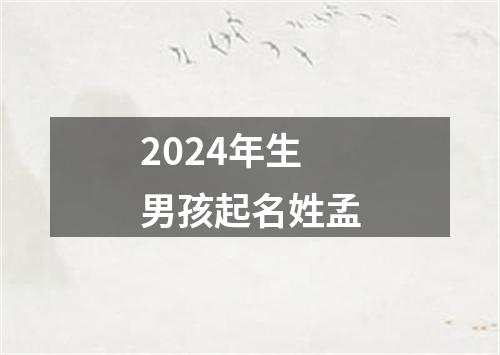 2024年生男孩起名姓孟