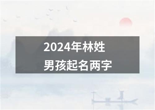 2024年林姓男孩起名两字