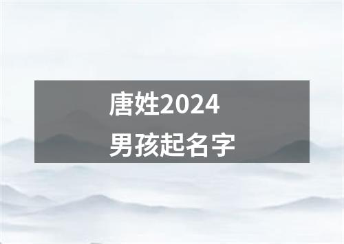 唐姓2024男孩起名字