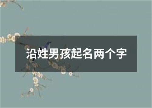 沿姓男孩起名两个字