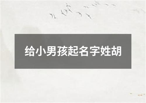 给小男孩起名字姓胡