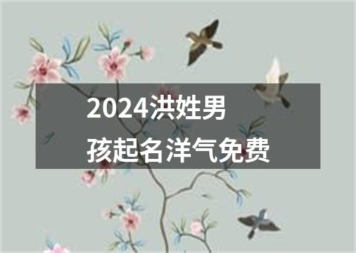 2024洪姓男孩起名洋气免费